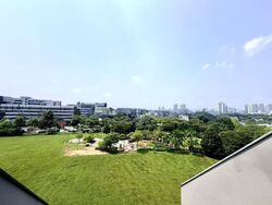 Nim Collection (D28), Terrace #624935231